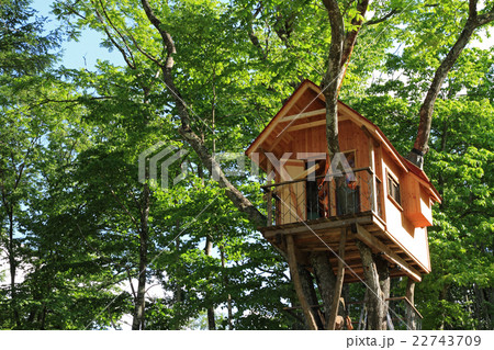 ツリーハウス 22743709