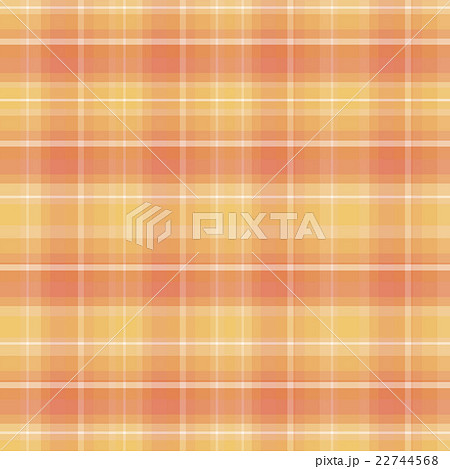 チェック柄パターン 22744568