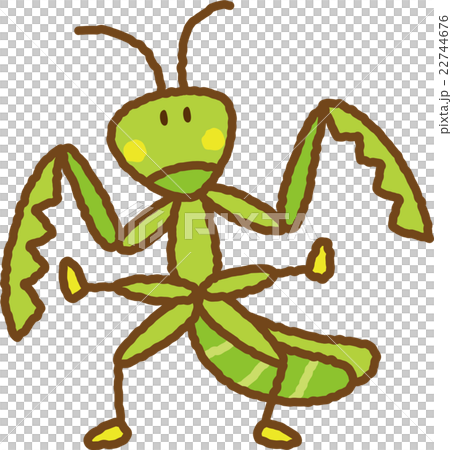 Mantis Mantis 22744676