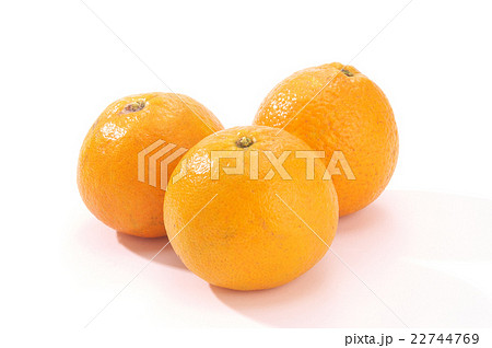 タンカン 22744769