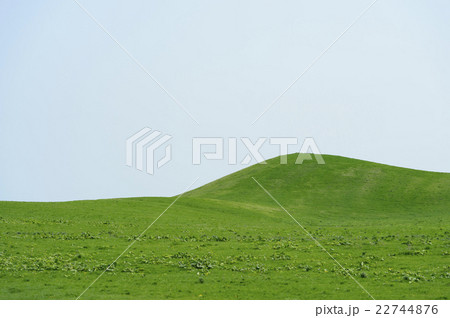 草のある丘のバックグラウンド 草のある丘のバックグラウンド 22744876
