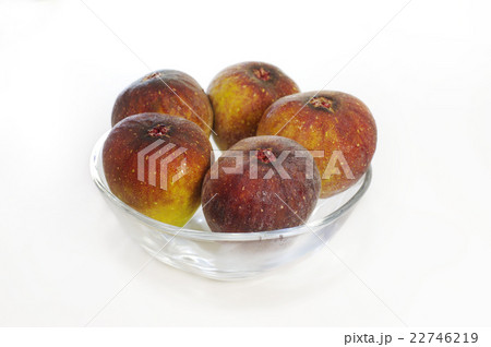 いちじく いちじく 22746219