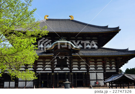 東大寺　大仏殿（2016.4） 22747326