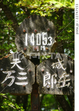 天城連山　万三郎岳山頂 22747553