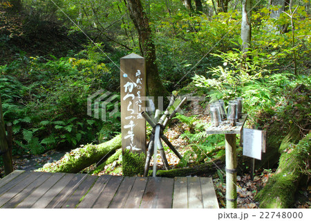 但馬高原植物園 平成の名水百選 かつらの千年水 兵庫県観光百選第1位の写真素材