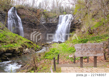 「日本の滝百選」アシリベツの滝/滝野すずらん丘陵公園/北海道札幌市 22748007