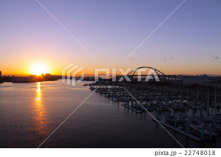 西宮大橋より旧西宮ヨットハーバーと生駒山山系から昇る朝陽を眺望/飛翔する野鳥たちの群れ 22748018