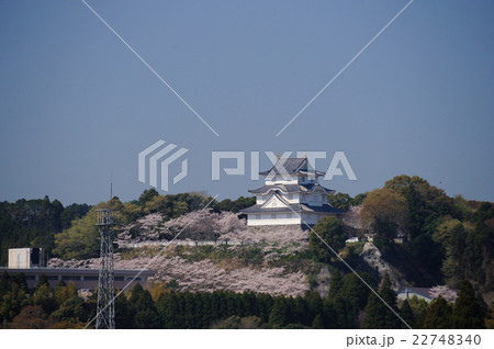 春の大多喜城　大多喜　千葉県夷隅郡大多喜町 22748340