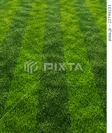 サッカー場の芝生のイラスト素材