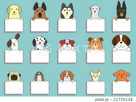 カードを持つ犬たちのイラスト素材