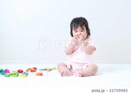 8か月の女の子 22750405
