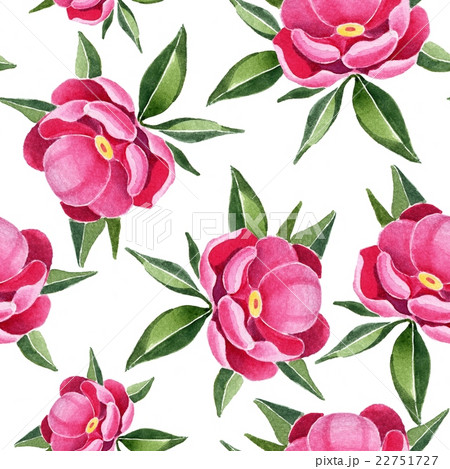 Peonies. Seamless pattern 3. Floral background 22751727