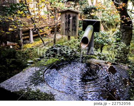 済んだ水に波紋が広がるししおどしの写真素材