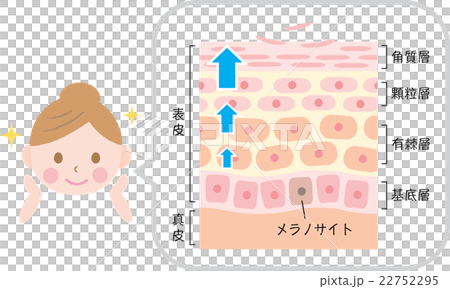 Turn over skin Turn over skin 22752295