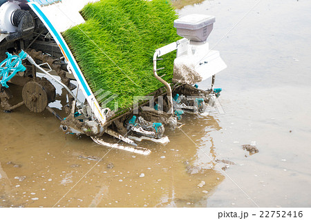 田植えの準備 22752416
