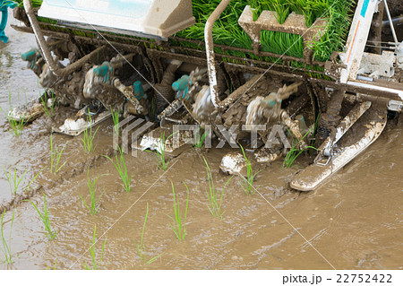 田植えの準備 22752422