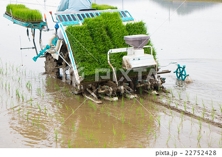 田植えの準備 22752428
