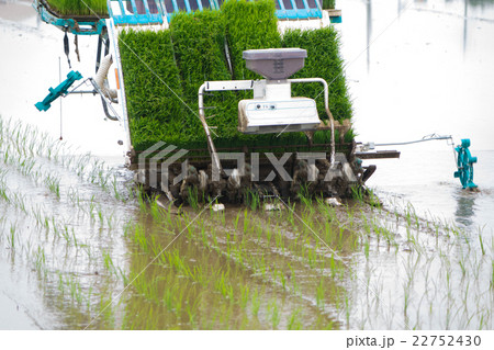 田植えの準備 22752430