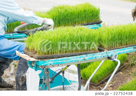田植えの準備 田植えの準備 22752438