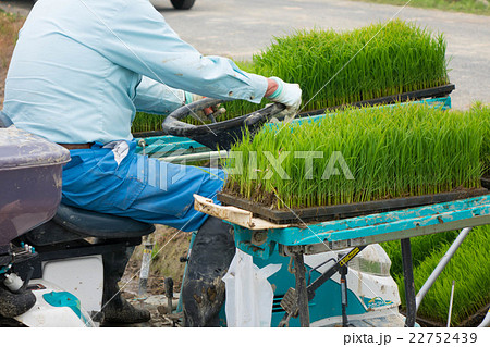 田植えの準備 22752439
