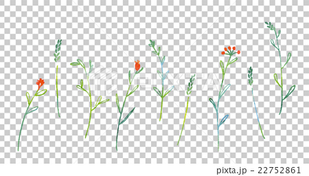 纤细的草花水彩 背景传输 图库插图