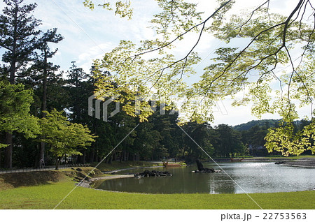 毛越寺 毛越寺 22753563