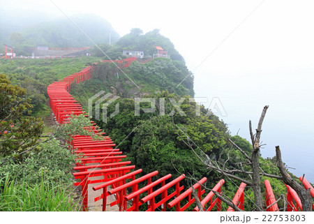 霧雨の元乃隅稲成神社 22753803