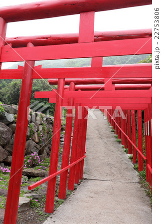 元乃隅稲成神社、鳥居 元乃隅稲成神社、鳥居 22753806