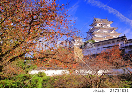 姫路城 兵庫県 姫路市 の紅葉の写真素材 姫路城 兵庫県 姫路市 の紅葉の写真素材
