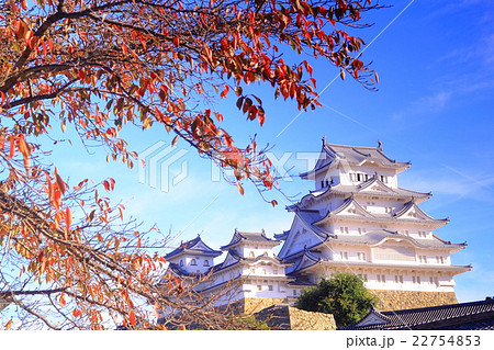 姫路城 兵庫県 姫路市 の紅葉の写真素材