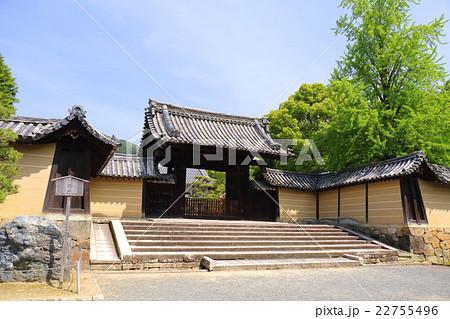 京都　随心院　薬医門 22755496