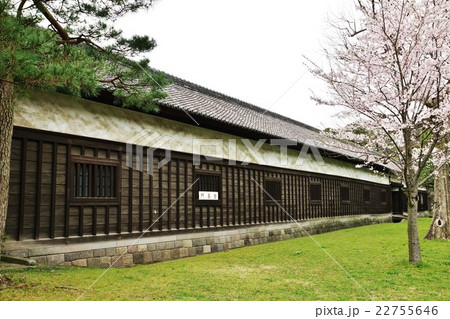 東京名所案内皇居案内・皇居乾通り脇の門長屋と桜・横位置 22755646