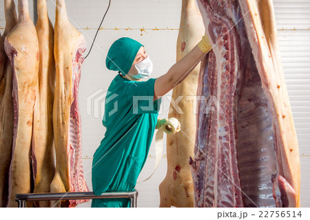 Factory for production of pork meat Factory for production of pork meat 22756514