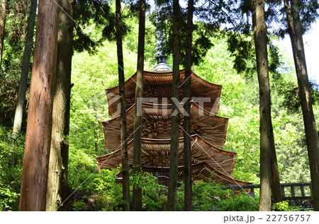 安楽寺国宝八角三重塔 安楽寺国宝八角三重塔 22756757