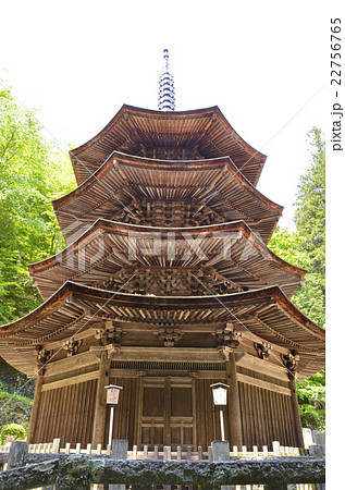 安楽寺国宝八角三重塔 安楽寺国宝八角三重塔 22756765