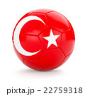 Soccer football ball with Turkey flag 22759318