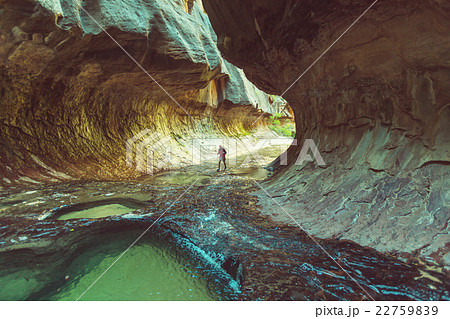 Canyon in Zion 22759839