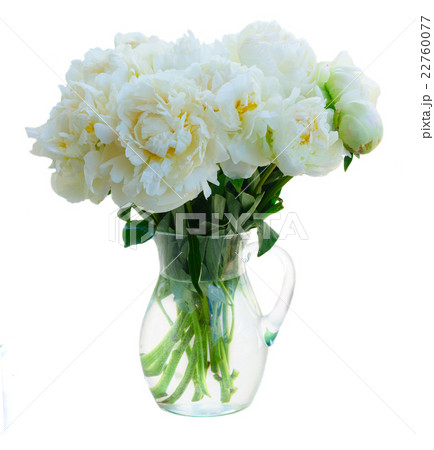 White peony flowers White peony flowers 22760077