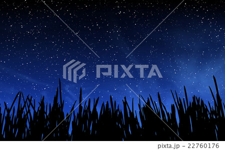 Deep night sky with many stars and grass 22760176