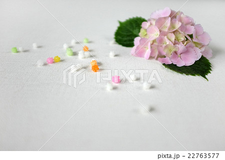 あじさい 22763577