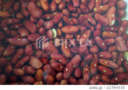 Red beans soaked in water 22764330