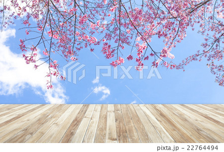 Wood table and Beautiful pink flowers blossom 22764494