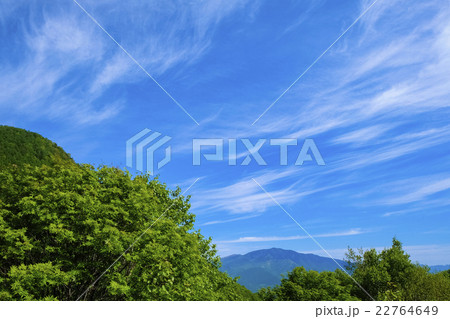 新緑と青空 22764649