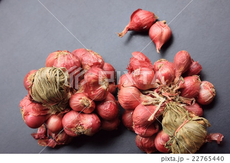 shallots 22765440