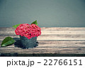 Valentines Day background with heart shape Flowers 22766151