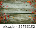 Flower on wooden background  22766152