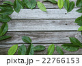 leaves on wooden background 22766153
