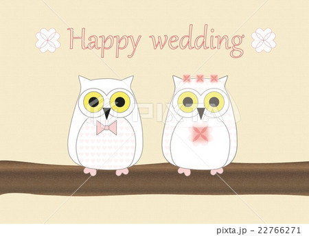 フクロウの結婚式 22766271