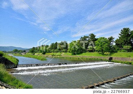 京都賀茂川風景 北山橋ー北大路橋間 22766937