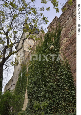 アルブレヒト城の城壁（ドイツ・マイセン） 22767540